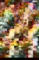 《哥布林的老巢4》动漫